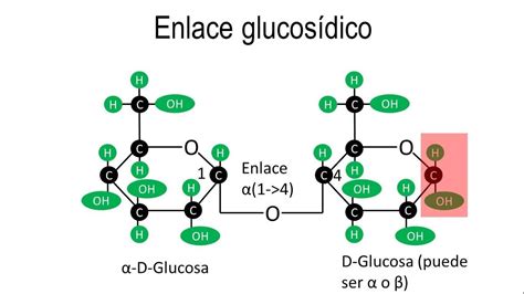 enlaces glucosidicos alfa  beta