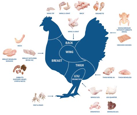 interra international  leader  quality chicken products