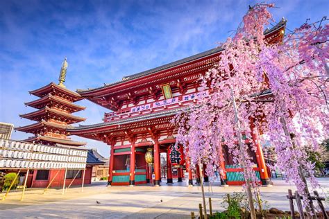 don t miss these 15 attractions during your visit to tokyo easyvoyage