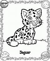 Jaguar Kleurplaat Harimau Kleurplaten Kertas Mewarna Kanak Halaman Coloringhome Haiwan sketch template