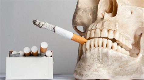 11 Smoking Harms And Disadvantages With Video New