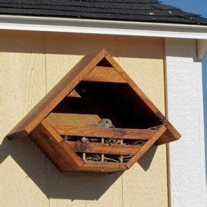 birdhouse   build   bird houses diy dove house bird house plans