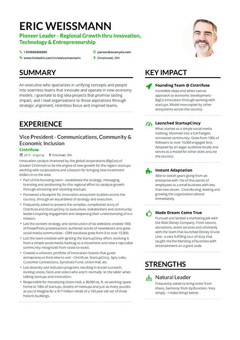 executive resume examples  resume template