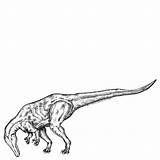 Karl Addison Suchomimus sketch template