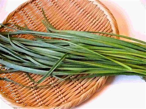 recipes  tom nira garlic chives