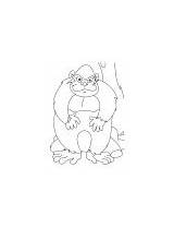 Coloring Ape Pages Angry sketch template