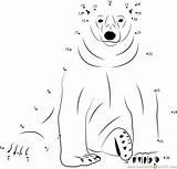 Bear Polar Worksheet Dot Dots Connect Template Preschool Animals Sitting Kids Templates Animal Bears Printable Colouring Pages Shape Arctic Worksheeto sketch template