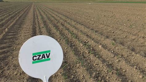czav keert  miljoen euro uit aan ledenklanten stal en akkernl landbouwnieuws voor zuid