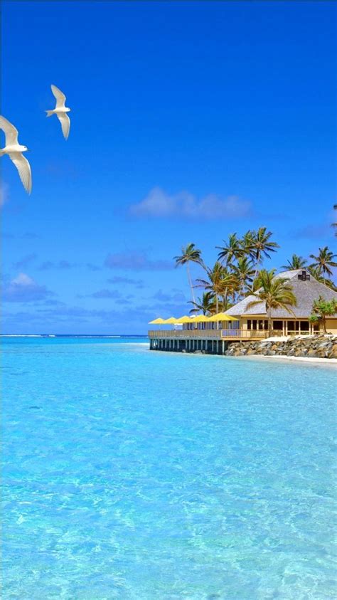 10 exciting facts about fiji islands holiday destinations and folk