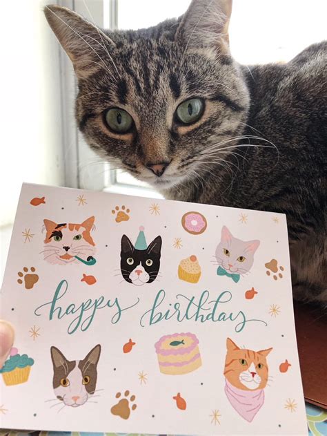 happy birthday cats card kitten party pet birthday gift etsy