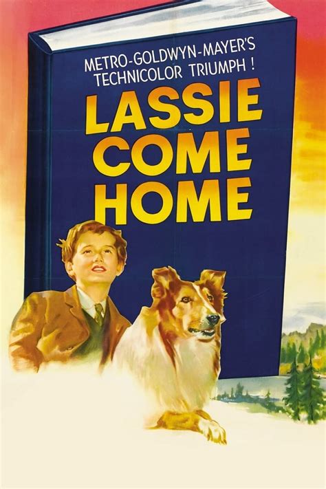 lassie come home 1943 posters — the movie database tmdb