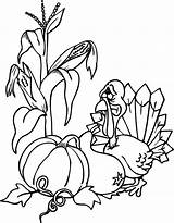 Coloring Pages Harvest Turkey Thanksgiving Printable Kids Printactivities Printables Books Pumpkin Popular sketch template