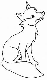 Fuchs Malvorlage Howling Raposa Bulkcolor Nimbus Tod Coyotes Arctic Colornimbus sketch template