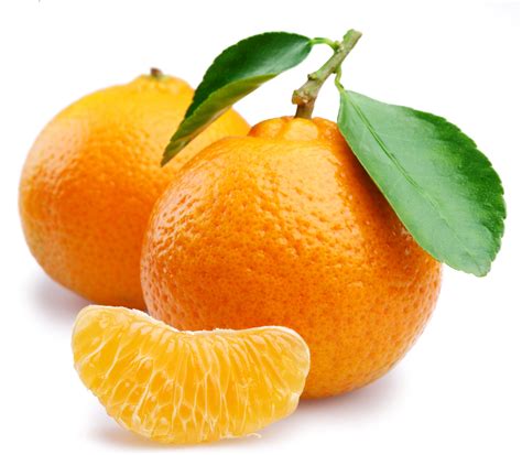 mandarina fisiologia vegetal
