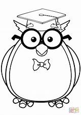 Owl Graduation Coloring Glasses Pages Template Wise sketch template