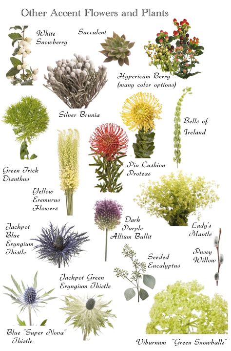 types  flowering plants   flowering plants