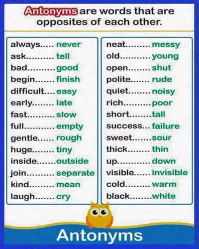 vocabulary study antonym list english learn site