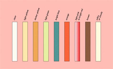 pee color chart what your urine shade says about your health