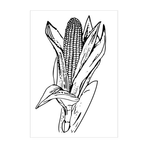 corn       png svg clip art  web  clip art