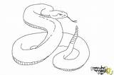 Draw Viper Snake Drawing Realistic Step Coloring Drawings Paintingvalley Drawingnow Steps sketch template