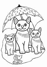 Poesjes Kleurplaat Kleurplaten Parapluie Kittens Hugolescargot Hugo Coloriages Katten Uitprinten Downloaden sketch template
