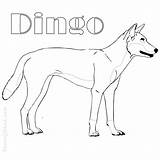 Dingo Coloring Pages Easy Australian Sheets Printable Choose Board Print sketch template
