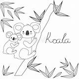 Koala Eucalyptus sketch template