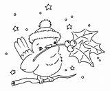 Winter Bird Little Christmas Stamps Digi Sliekje Coloring Embroidery Colouring Pages Patterns Hand Hiver Dessin Drawing Houx Oiseau Noel Hallo sketch template