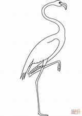 Flamingo Coloring Pages Printable sketch template