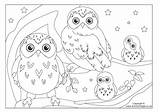 Owl Coloring Burrowing Pages Snowy Owls Getcolorings Color Getdrawings sketch template
