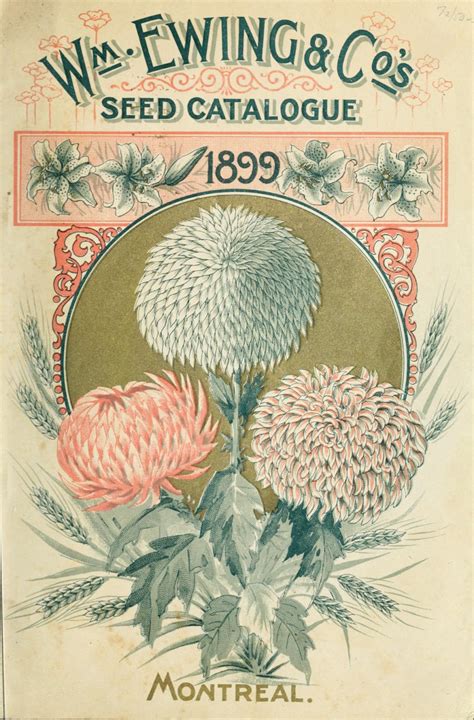 vintage pig clip art victorian seed catalog cover graphic