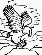 Eagle Coloring Printable Bald Pages Choose Board Kids Eagles Drawing Drawings sketch template