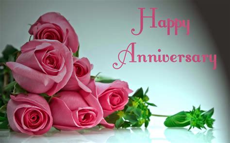 happy anniversary pink rose cards  girlfriends festival chaska