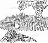 Vineyard Drawing Outline Vector Vine Grapes Sketches Sketch Wine Grape Vineyards Composition Paintingvalley Glass Designs Hebstreits Visit Choose Board sketch template
