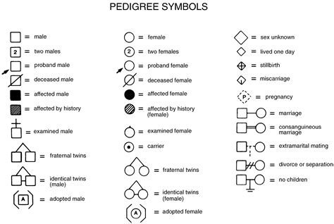 symbols commonly   pedigree analysis american academy