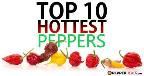 top 10 world s hottest peppers [2023 update] new hottest pepper