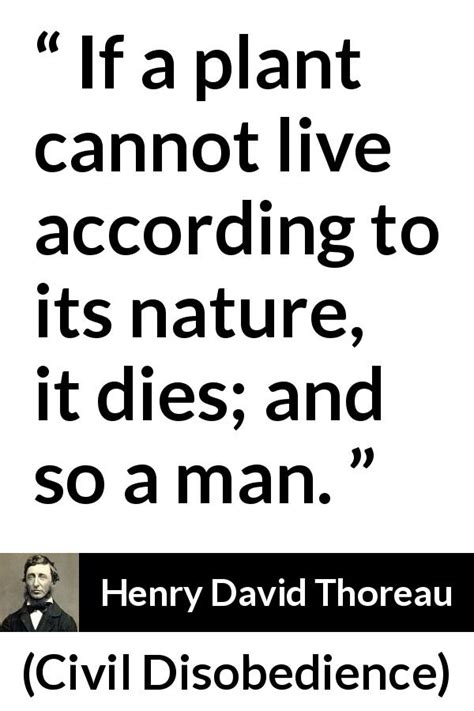 “if a plant cannot live according to its nature it dies and so a man