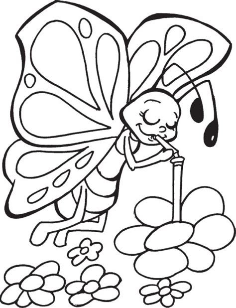 butterfly coloring pages  preschoolers fg