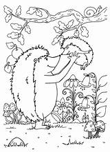 Hedgehog Bambino Kritzeln Sie Istrice Sforzo Coloritura Vettore Scarabocchii Guarda Hedgehogs sketch template