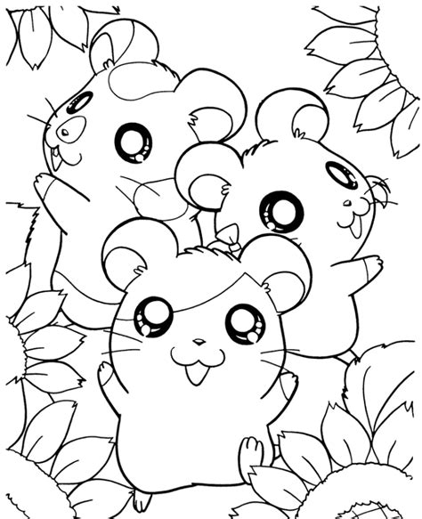 hamster printable coloring pages printable word searches