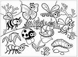 Coloring Insects Pages Children Kids Print sketch template
