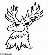 Deer Stag Coloringpages sketch template