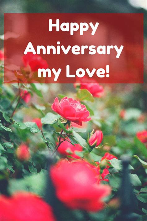 happy anniversary  love pictures   images  facebook