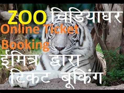 zoo ticket booking  youtube