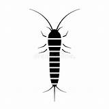 Silverfish Icon Vector Illustration Isolated Stroke Editable Thin Animals Collection sketch template