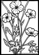 Stained Glass Kwiaty Kolorowanka Motyle Malowanka Kolorowanki Motyl Poppies Window Wecoloringpage sketch template