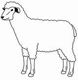 Sheep Coloring Pages Kids Printable Outline Colour Sheet sketch template