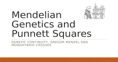 Mendelian Genetics And Punnett Squares Genetic Continuity Gregor
