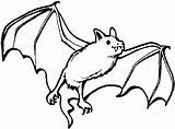 Morcego Pintarcolorir Desenho Morcegos Pode Muitos sketch template