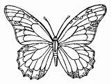 Mariposas Borboleta Mariposa Monarch Borboletas Coloringpagebook Patrones 1261 Aylen Camila Schmetterling Schmetterlinge sketch template